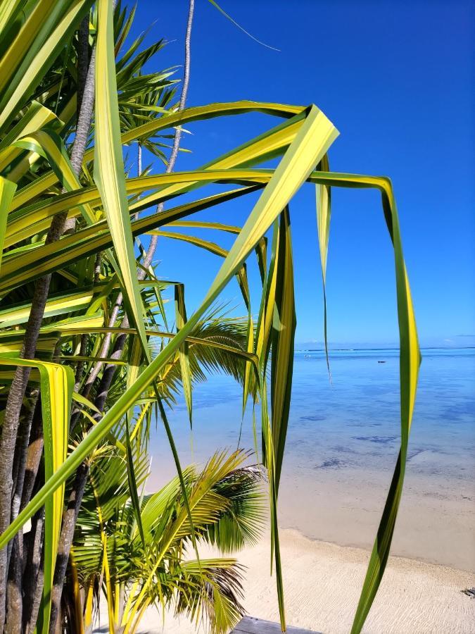 Moorea Beach Lodge ภายนอก รูปภาพ
